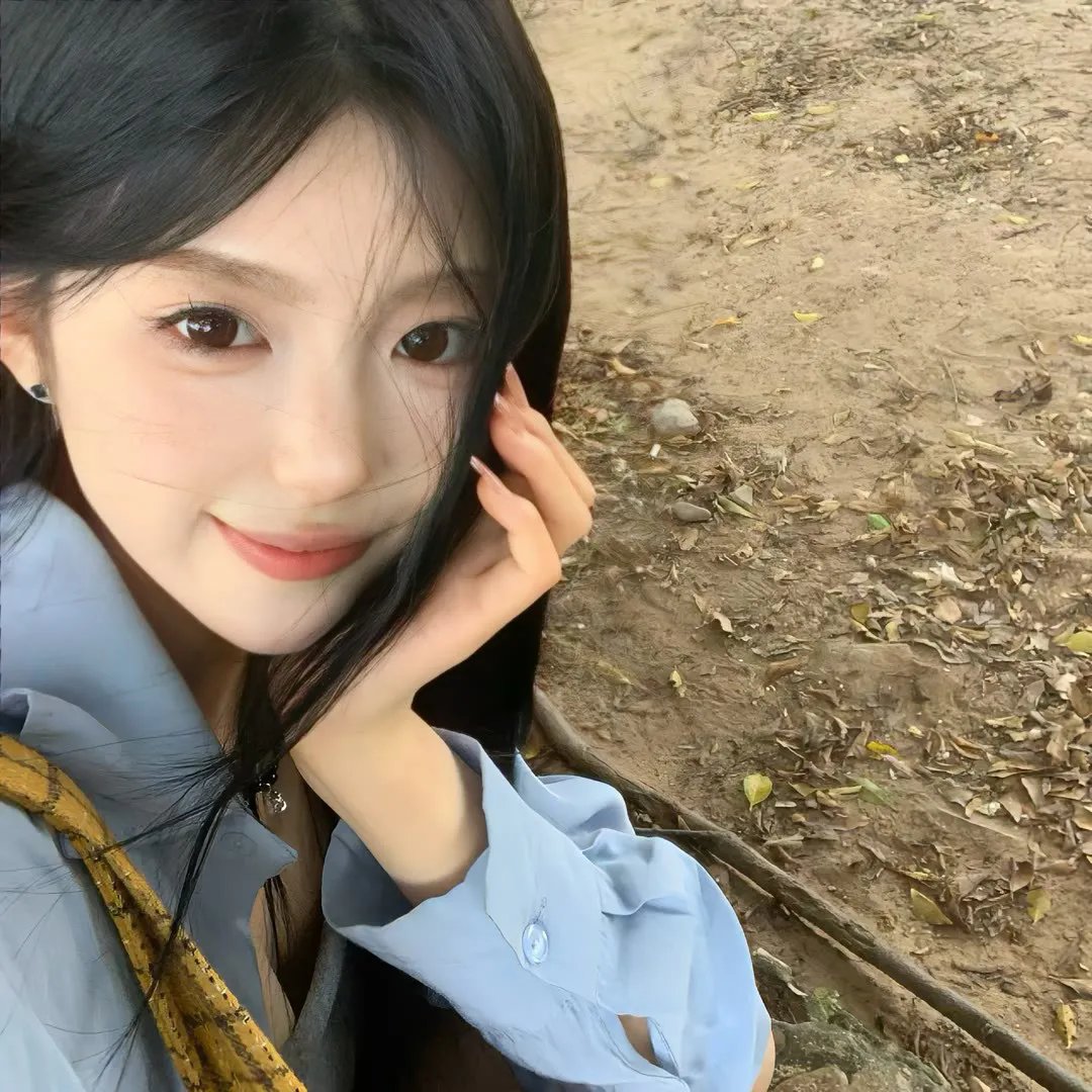倒霉熊之茶杯旅行记
